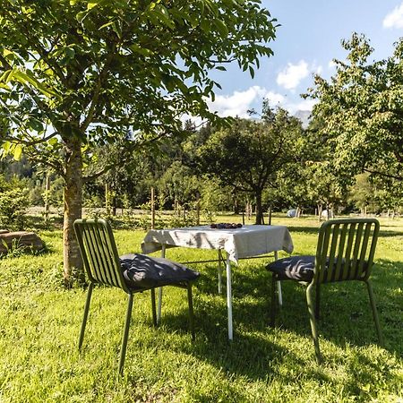 Iselhof Apartment Lienz Bagian luar foto